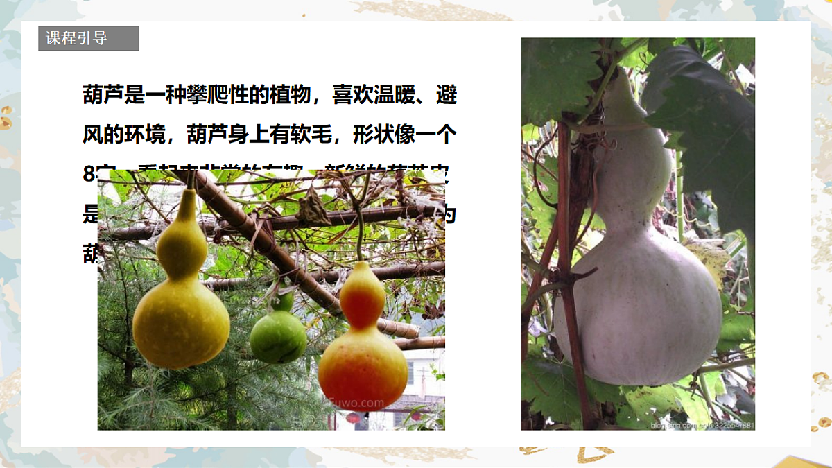17557308第4页