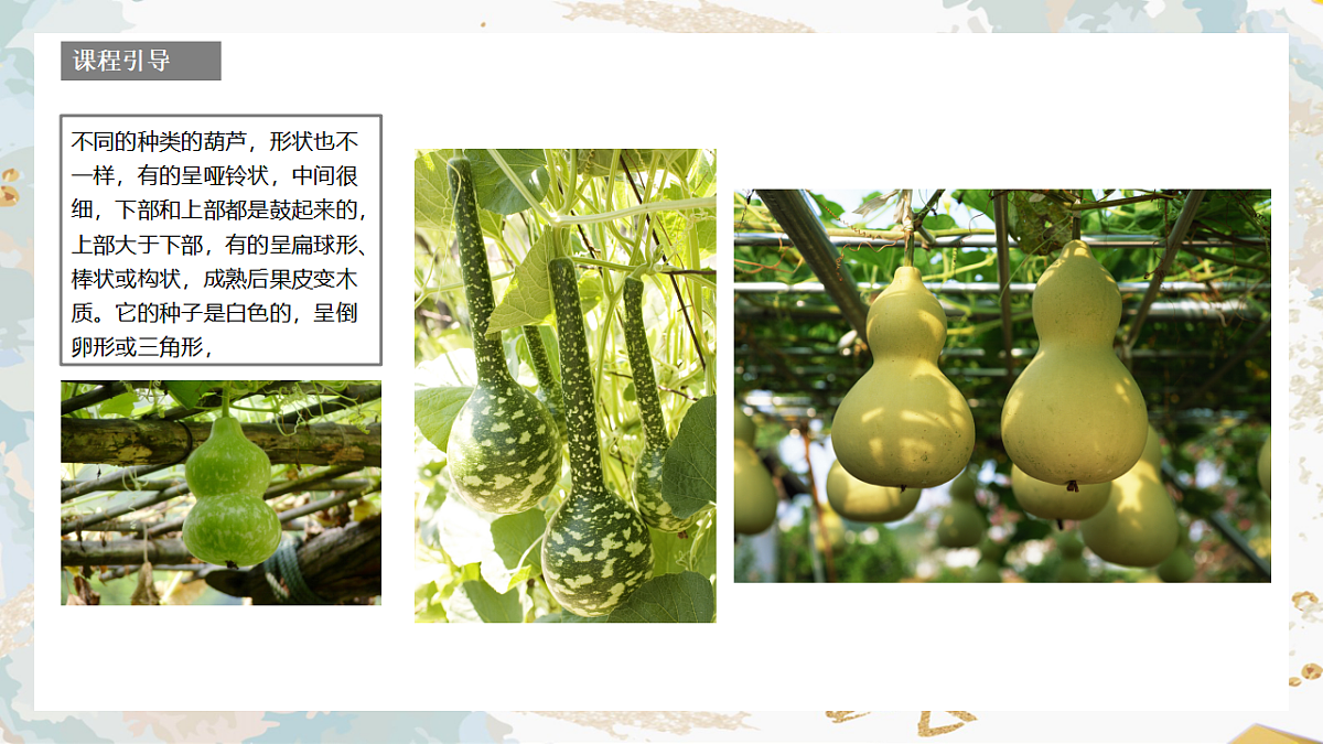 17557308第5页