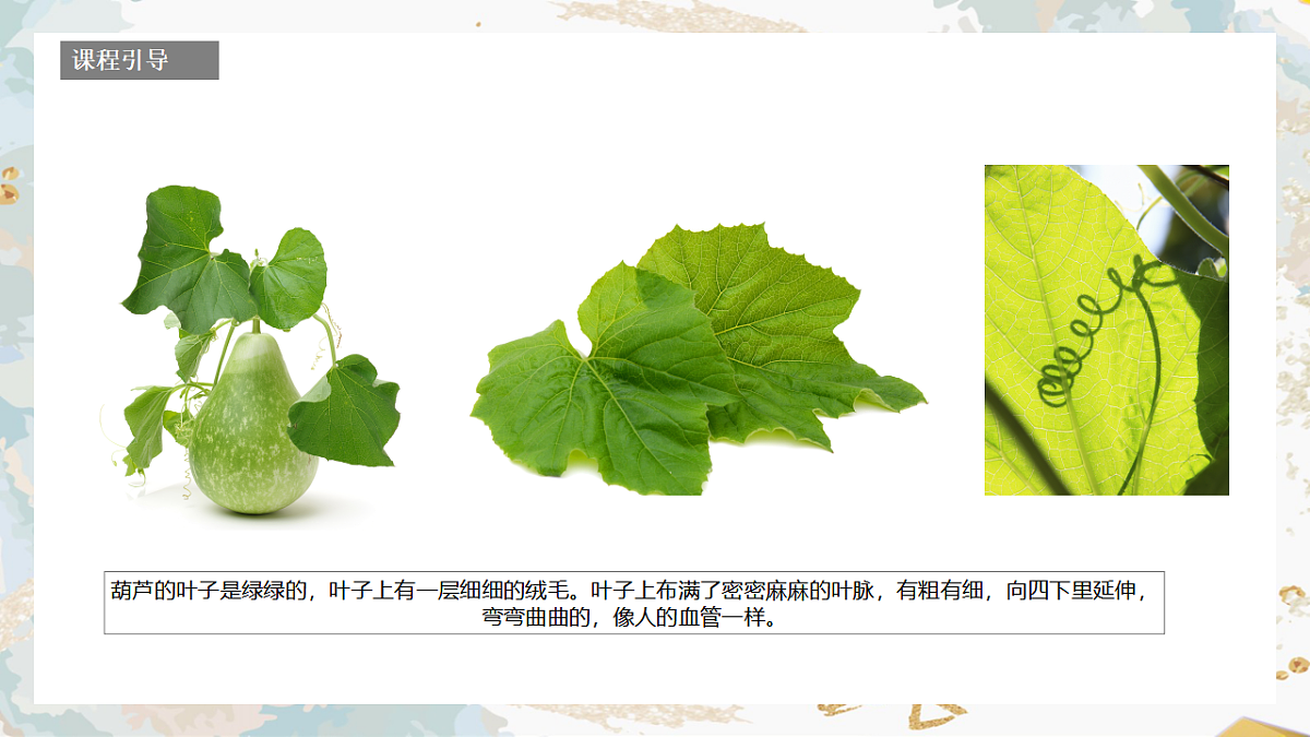 17557308第6页