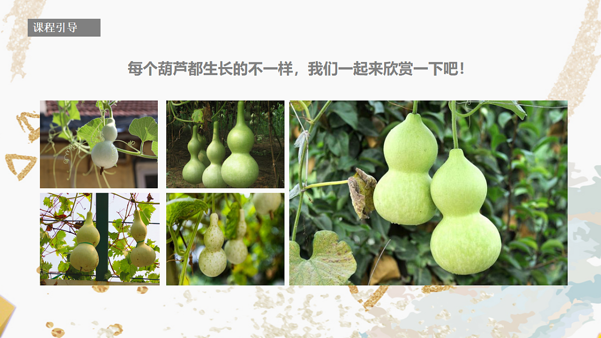 17557308第7页