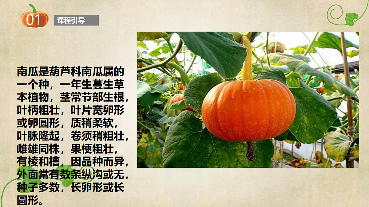 17557309第5页
