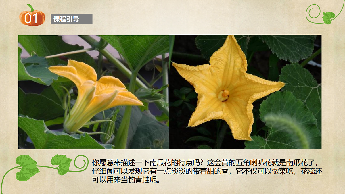 17557309第8页