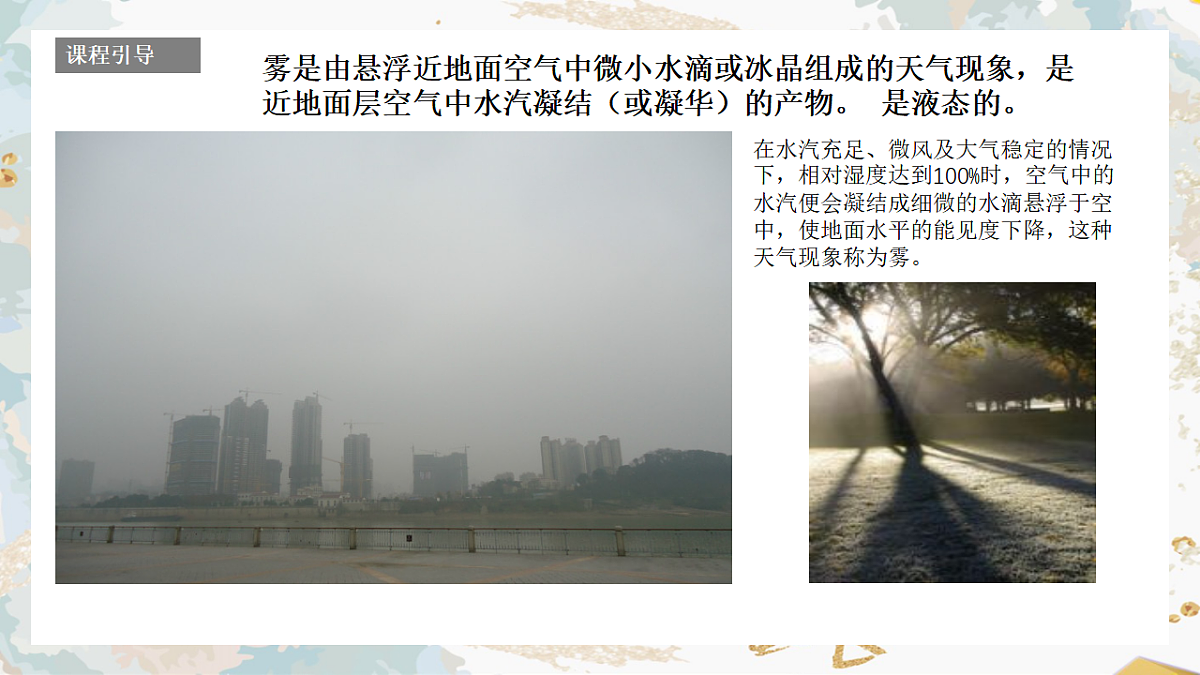 17557310第5页