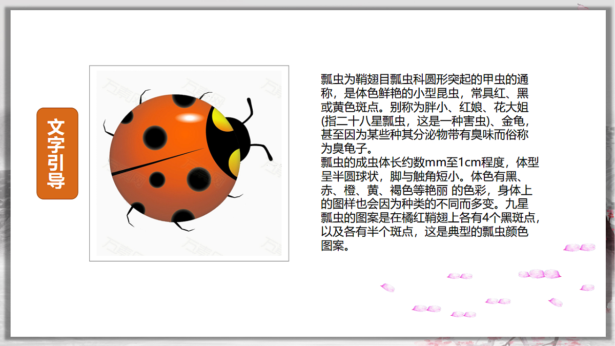 17557313第4页