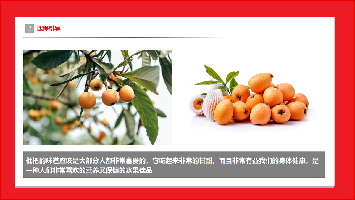 17557331第4页