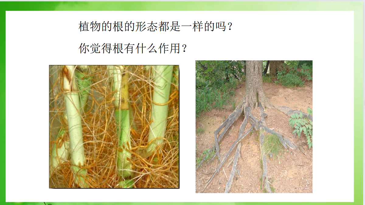 17557376第2页