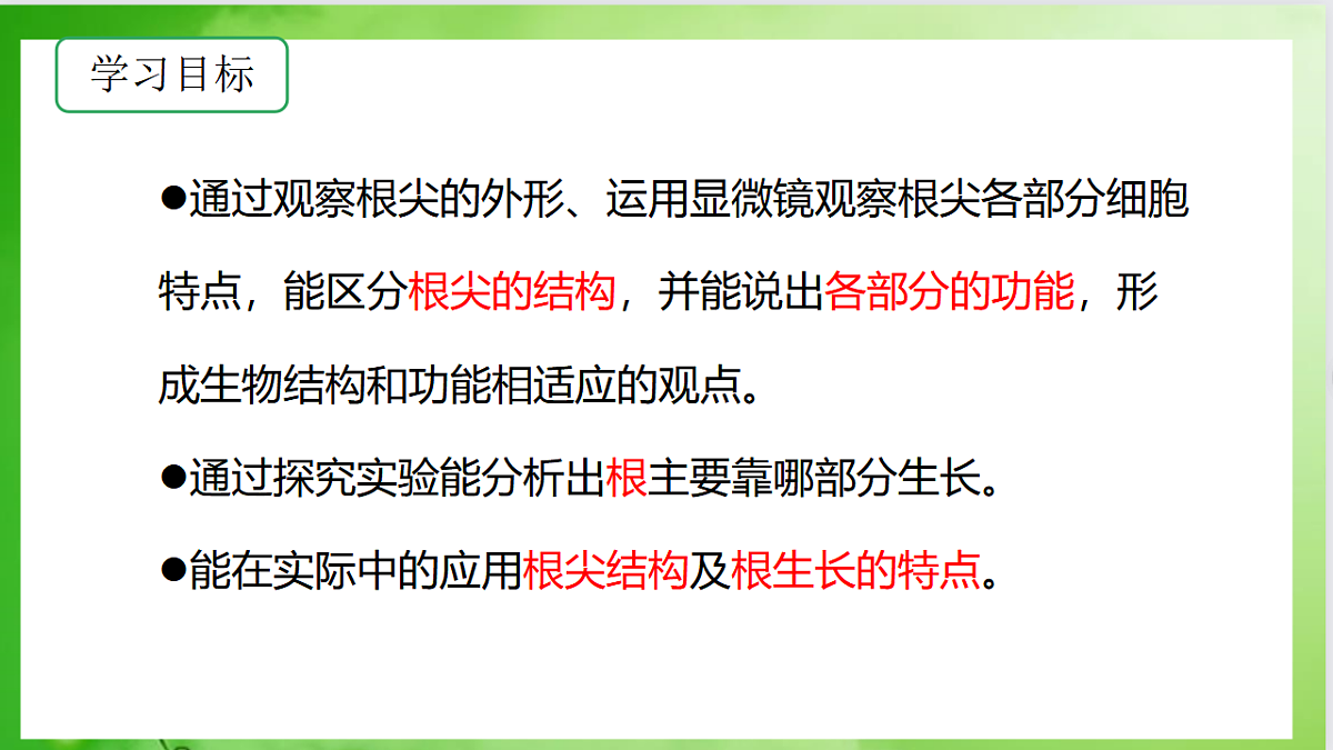 17557376第4页
