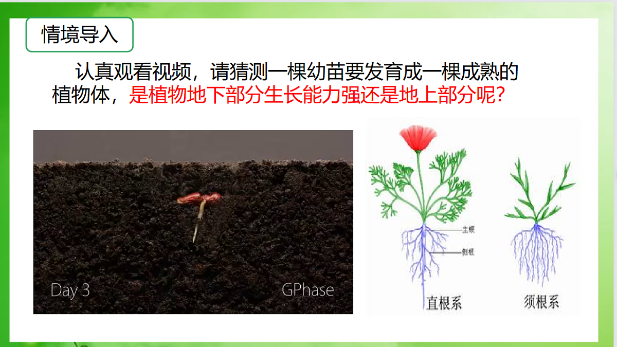 17557376第5页