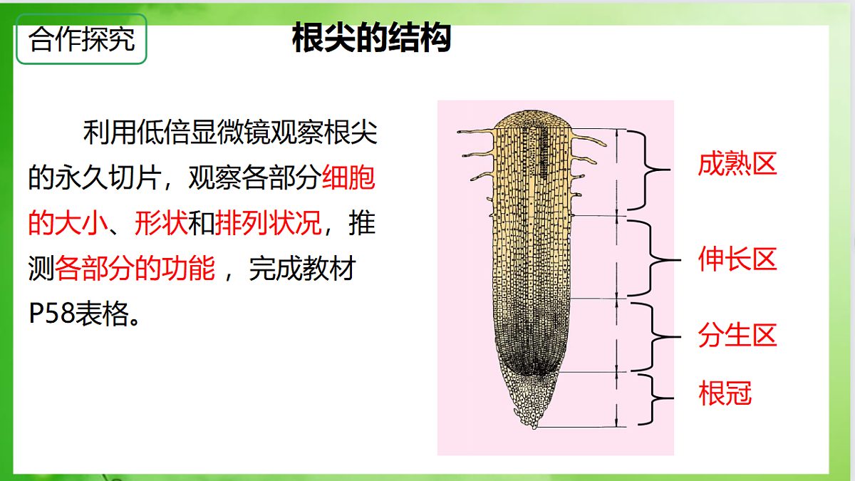 17557376第7页