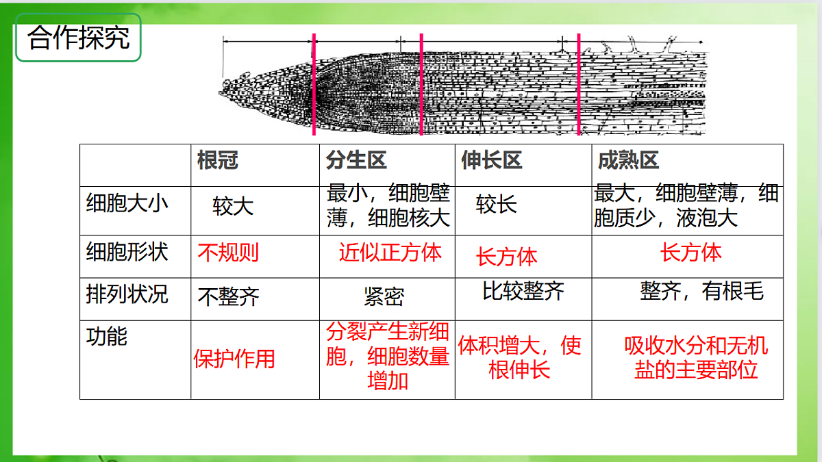 17557376第8页