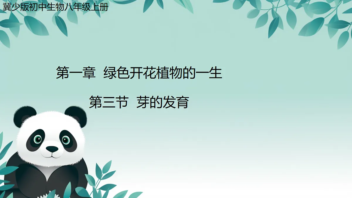 17557378第1页