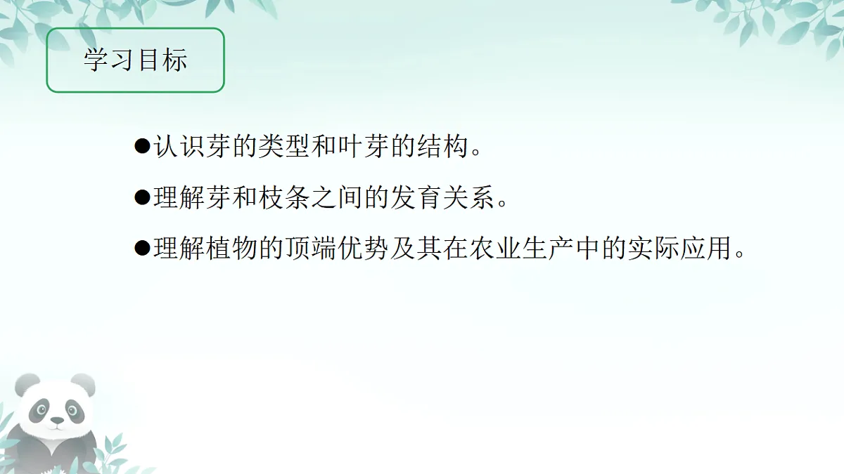 17557378第2页