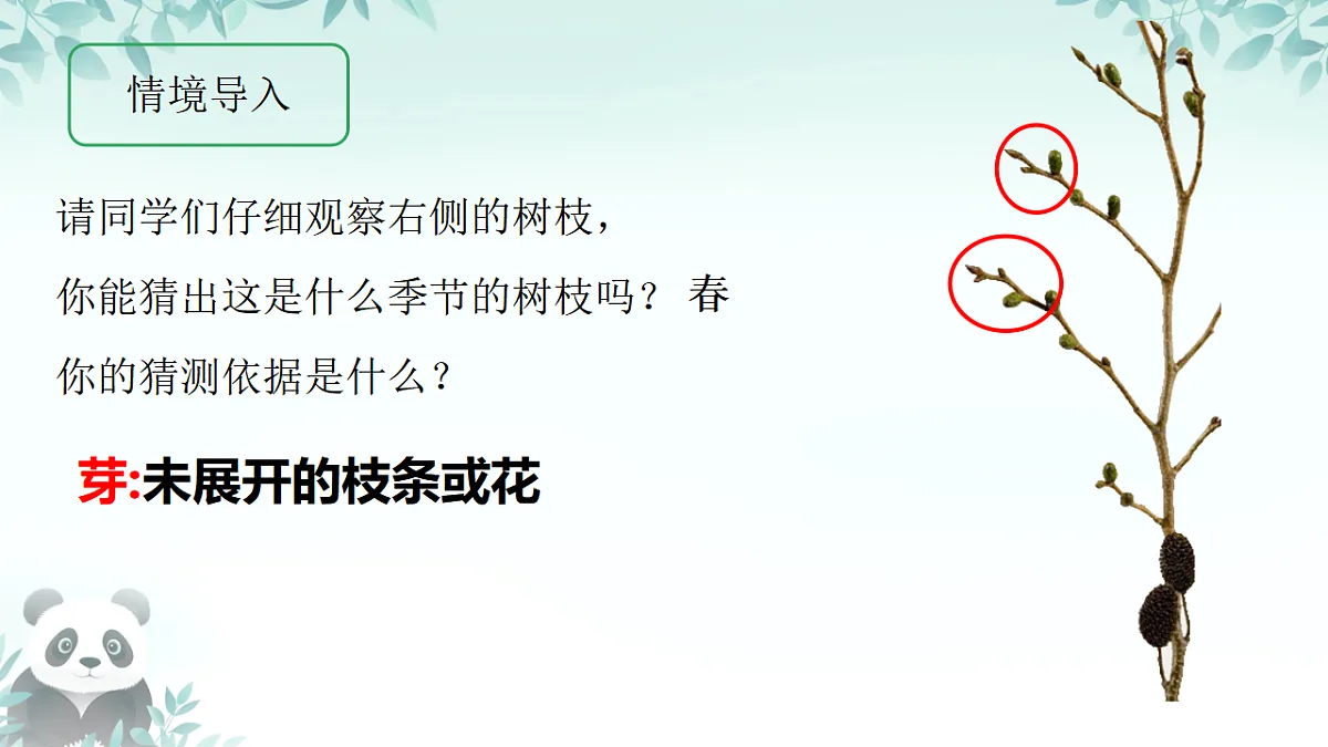 17557378第3页
