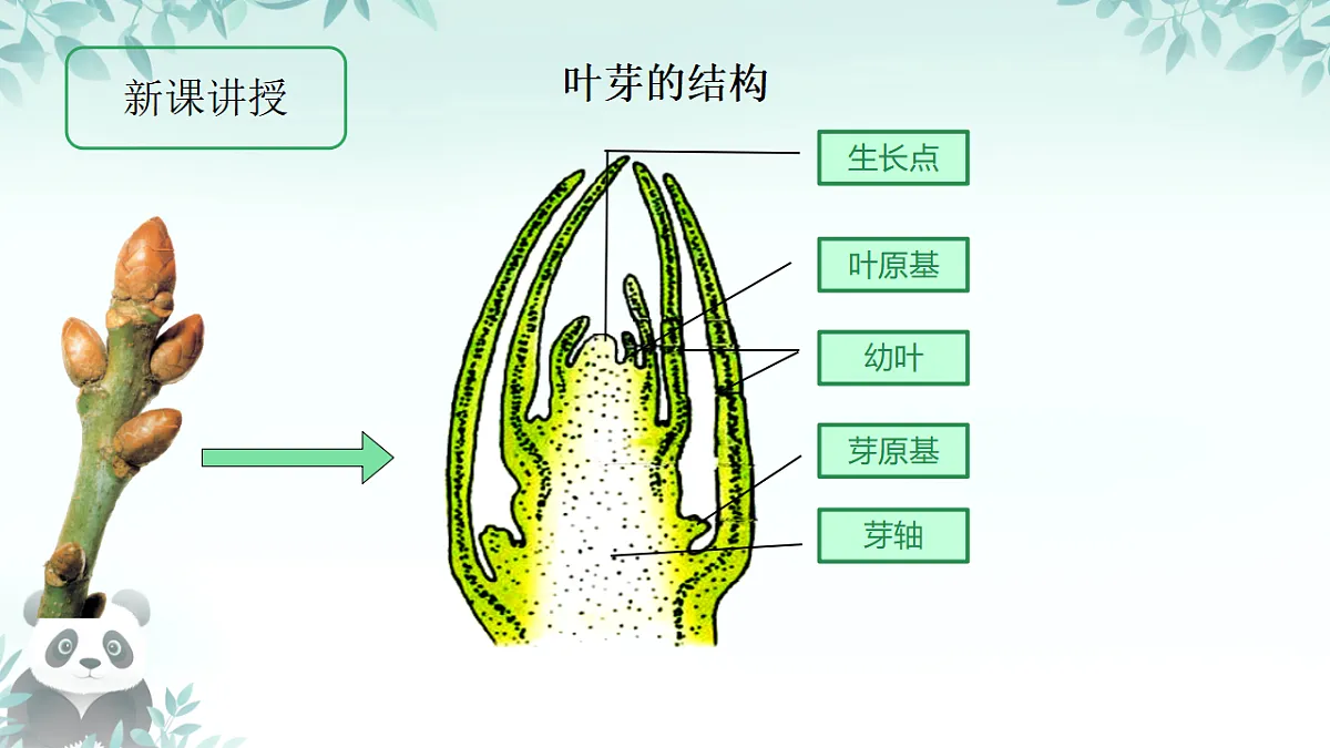 17557378第4页