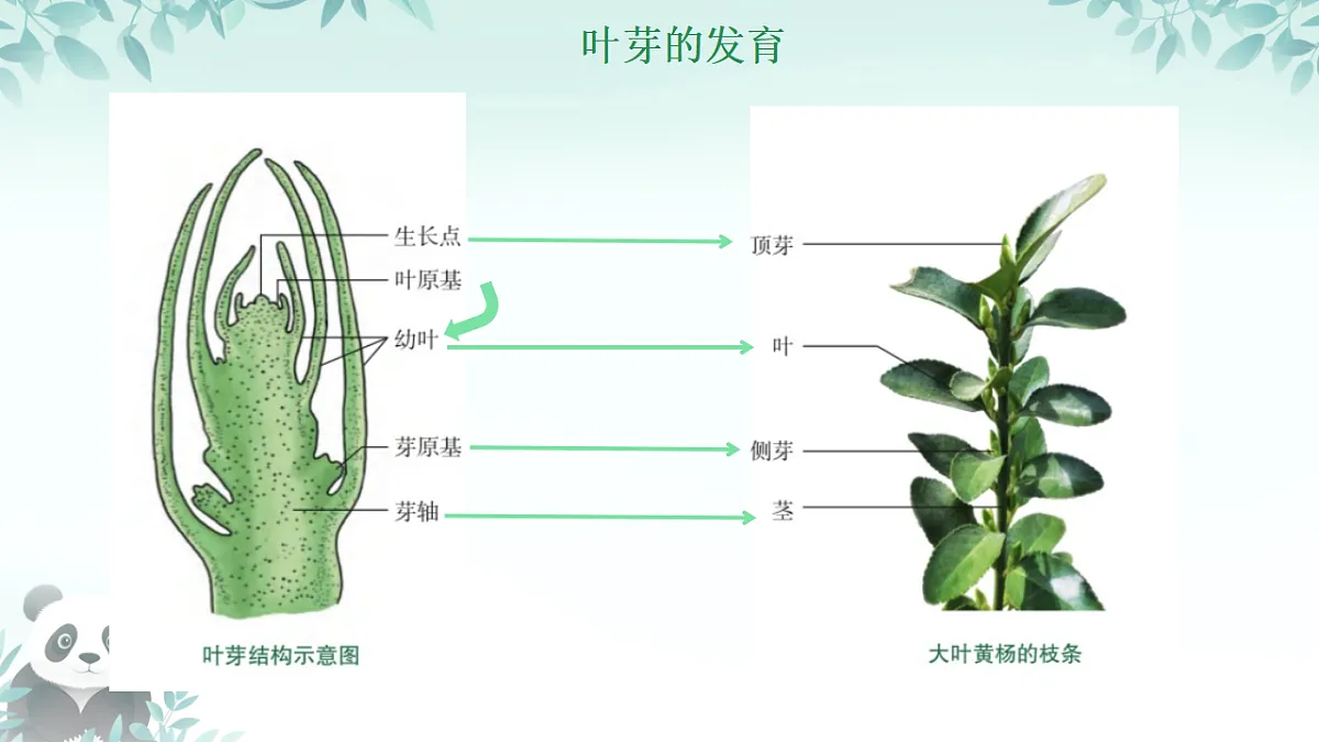 17557378第5页