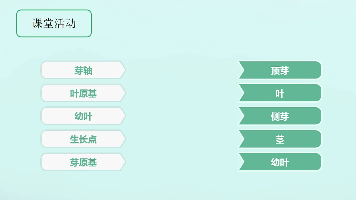 17557378第6页