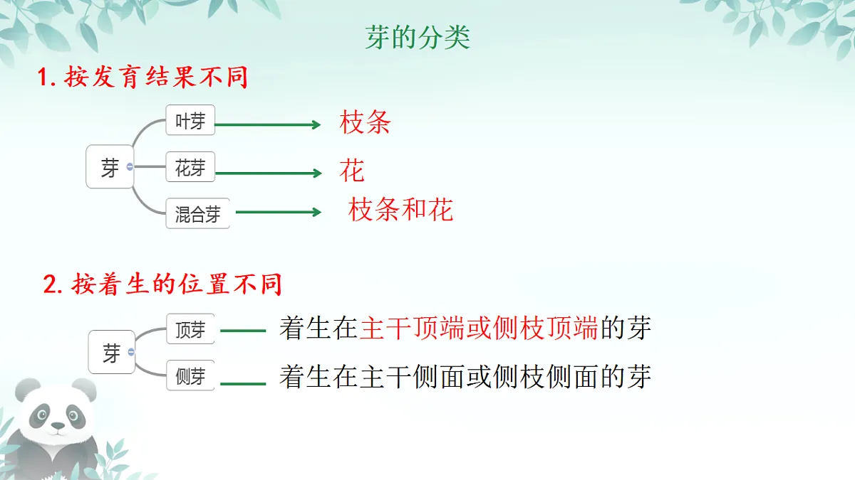 17557378第7页