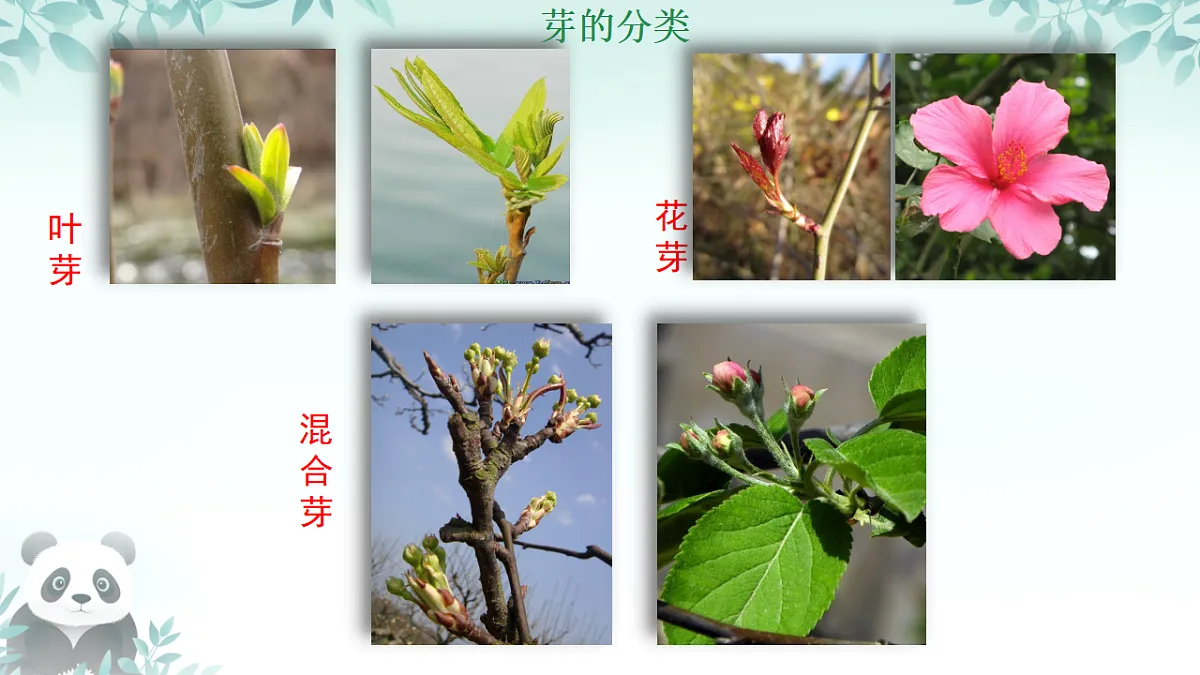 17557378第8页