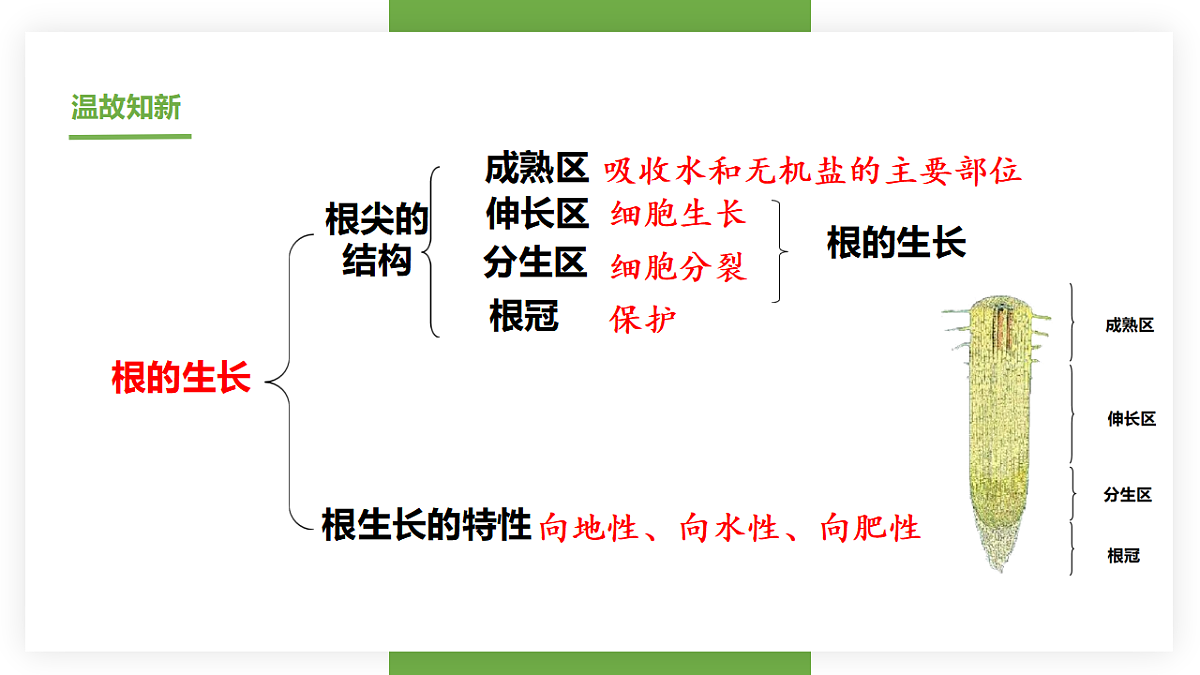 17557379第1页