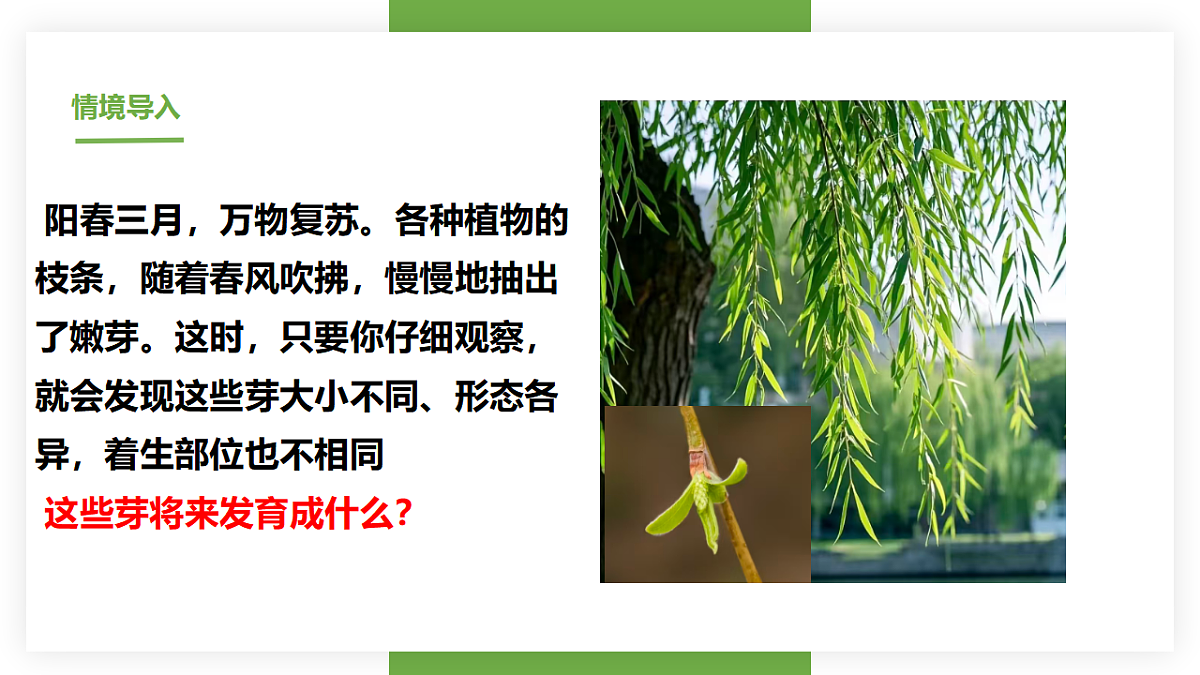 17557379第2页