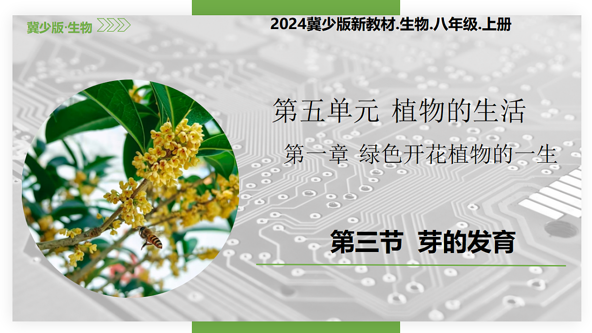 17557379第3页