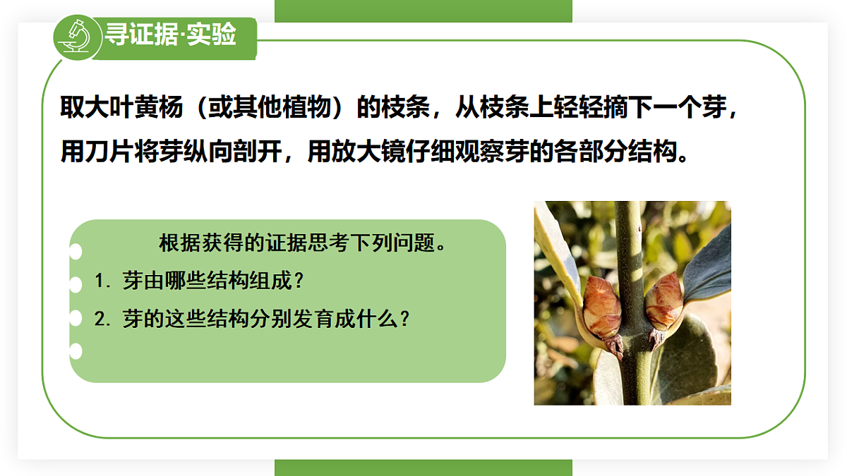 17557379第5页