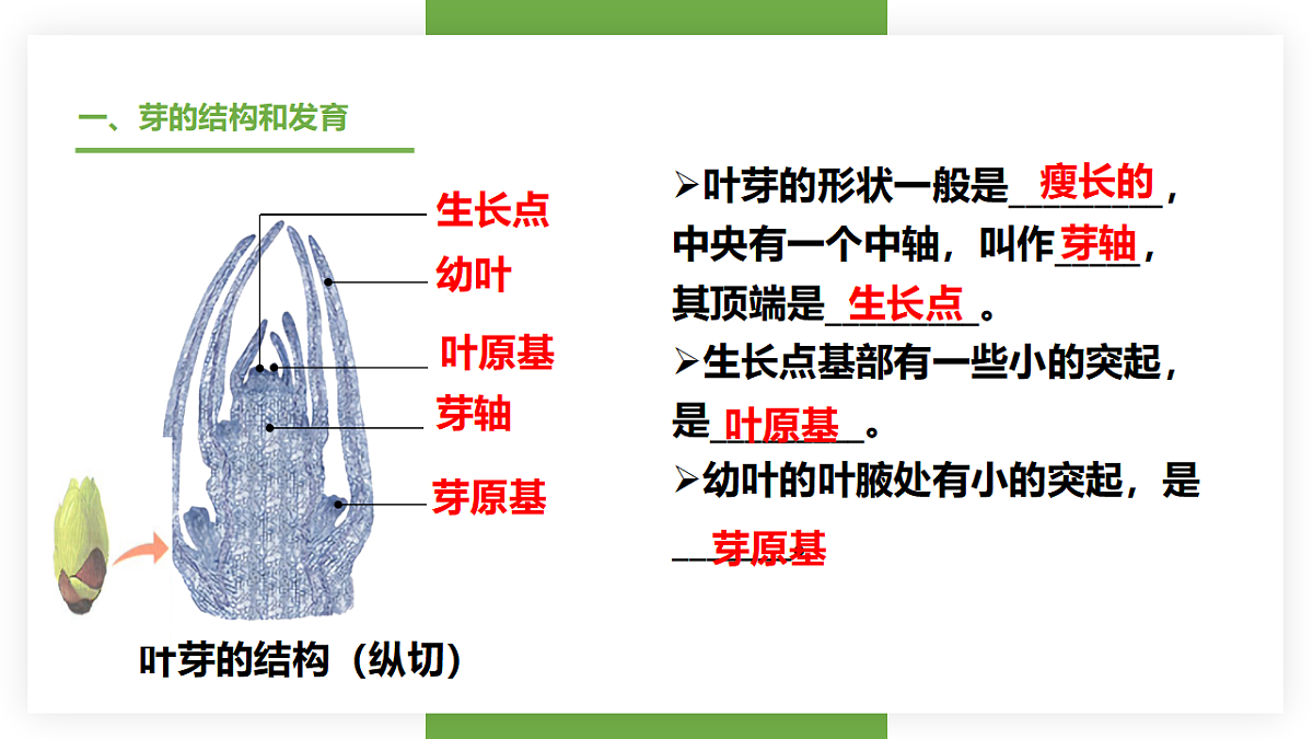 17557379第6页