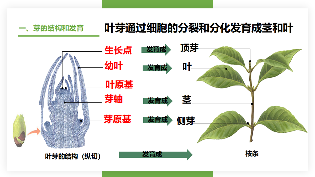 17557379第7页