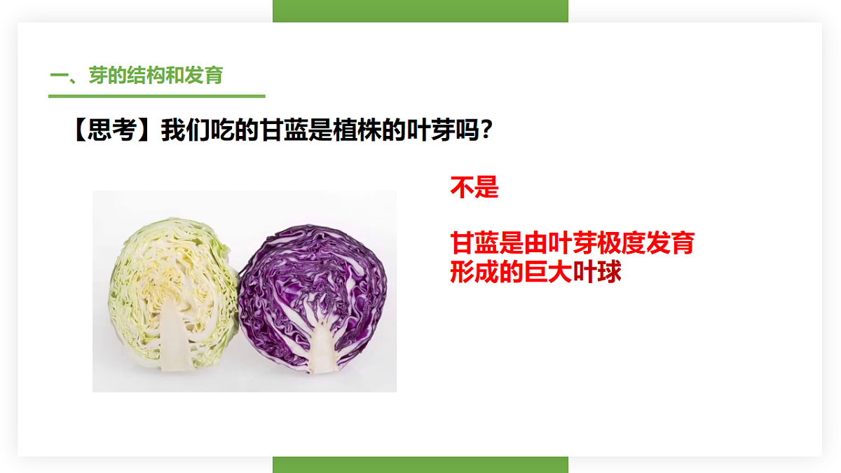 17557379第8页