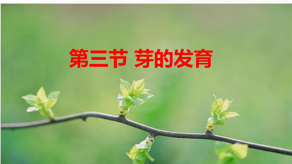 17557380第1页