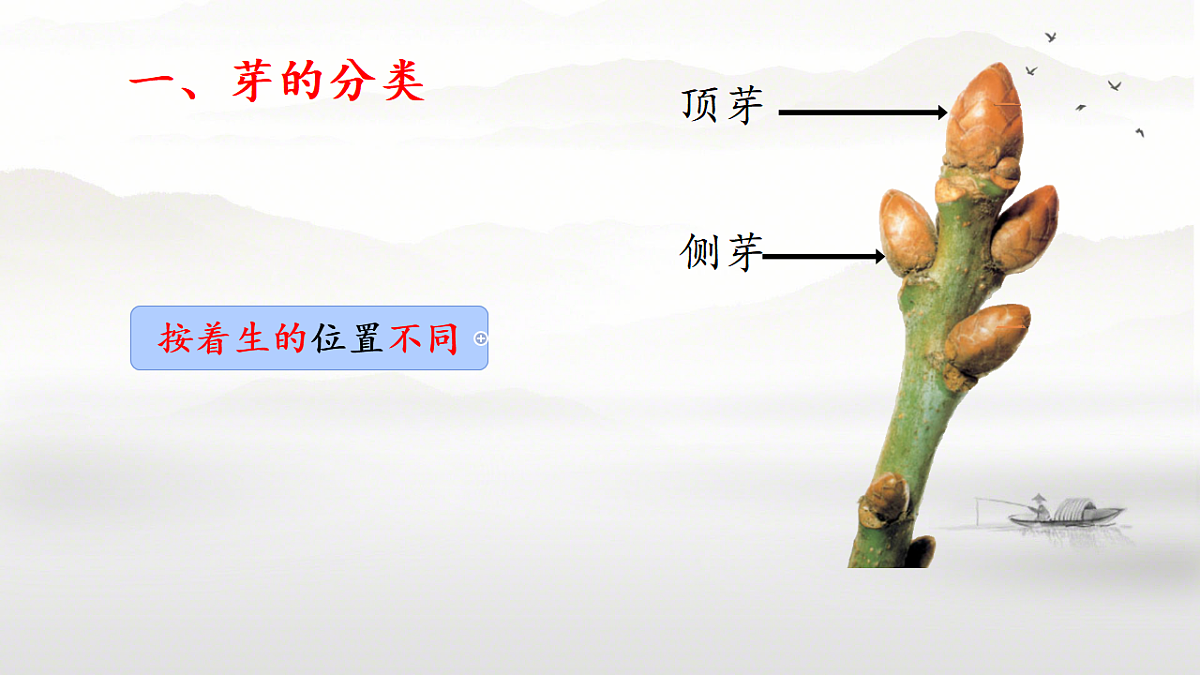 17557380第3页