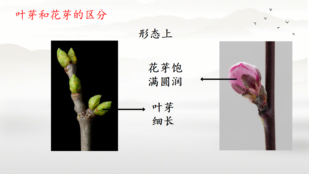17557380第4页