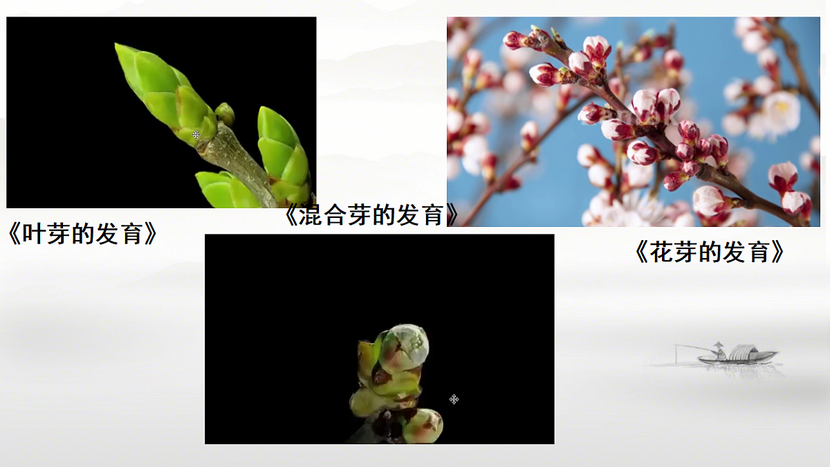 17557380第7页