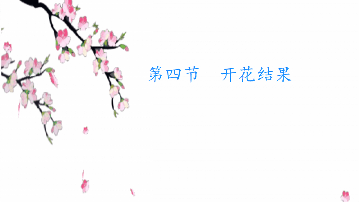 17557381第1页