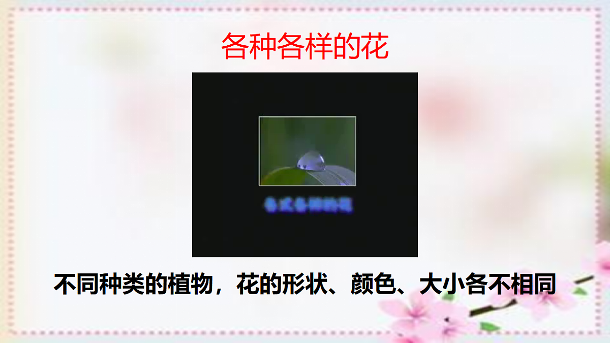 17557381第2页
