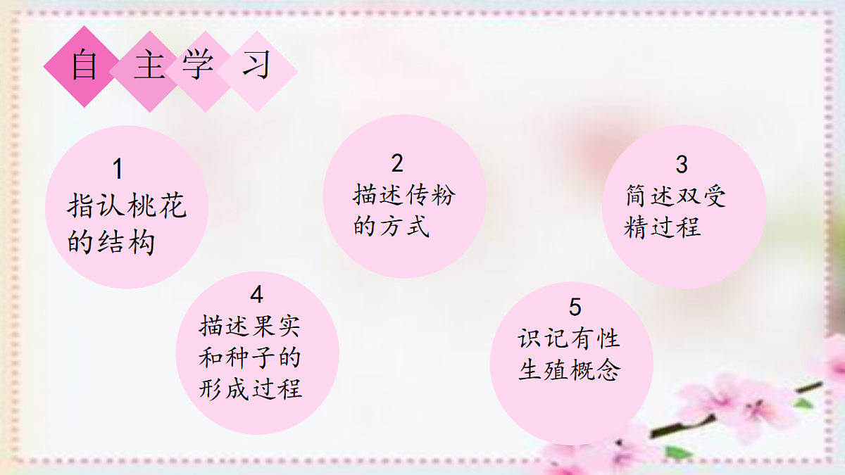 17557381第3页