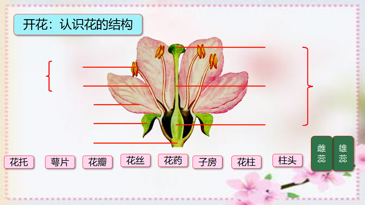 17557381第4页