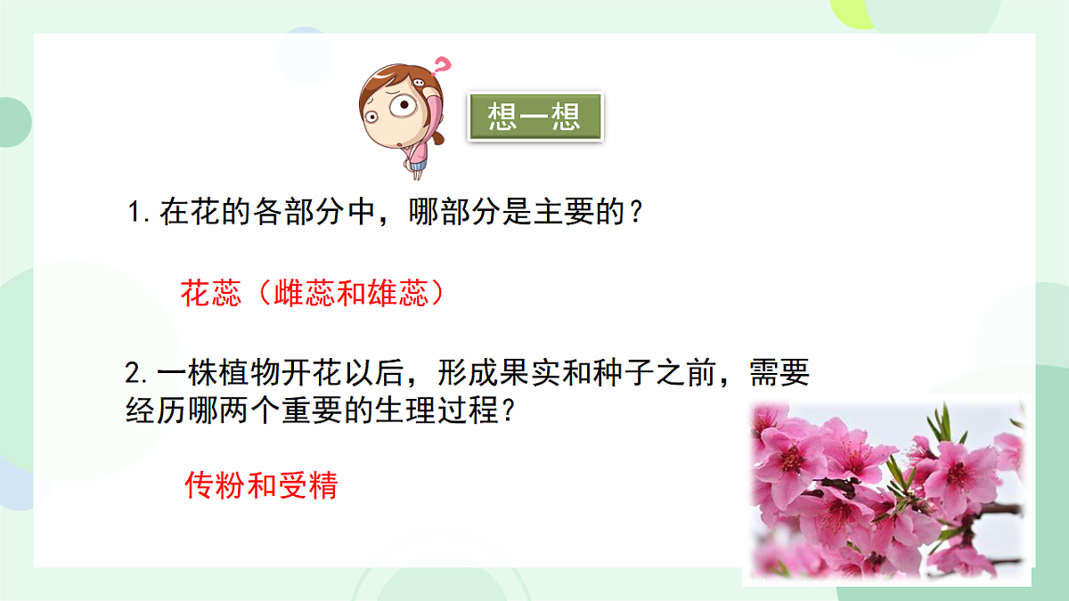 17557381第5页