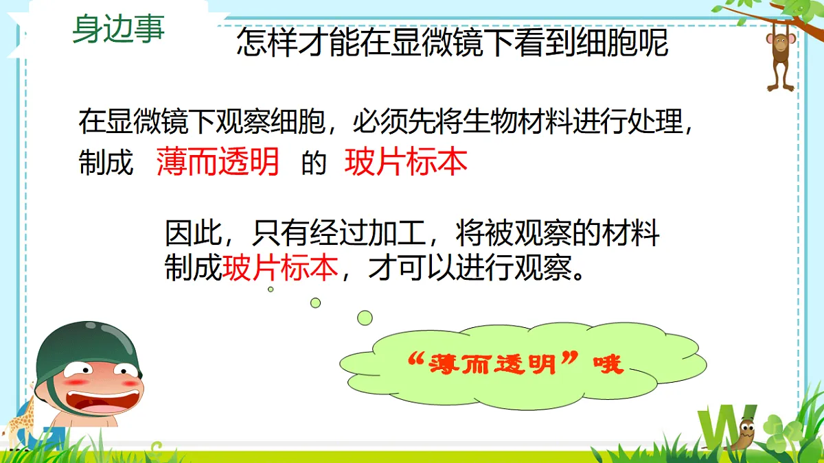 17557624第3页