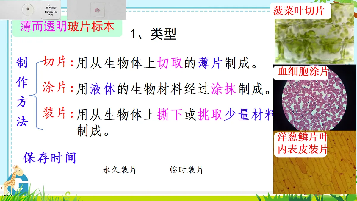17557624第4页
