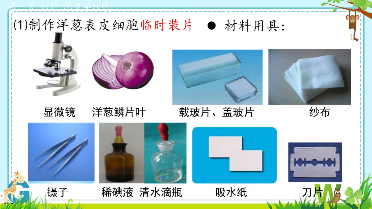 17557624第5页