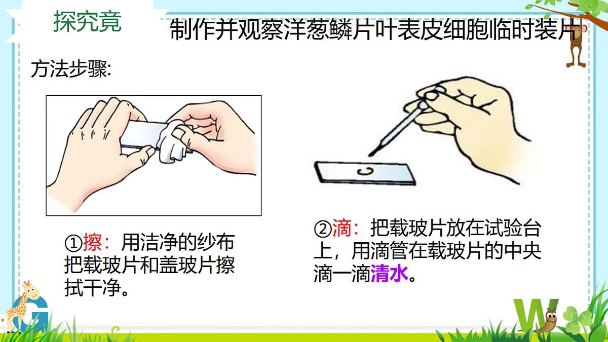 17557624第7页