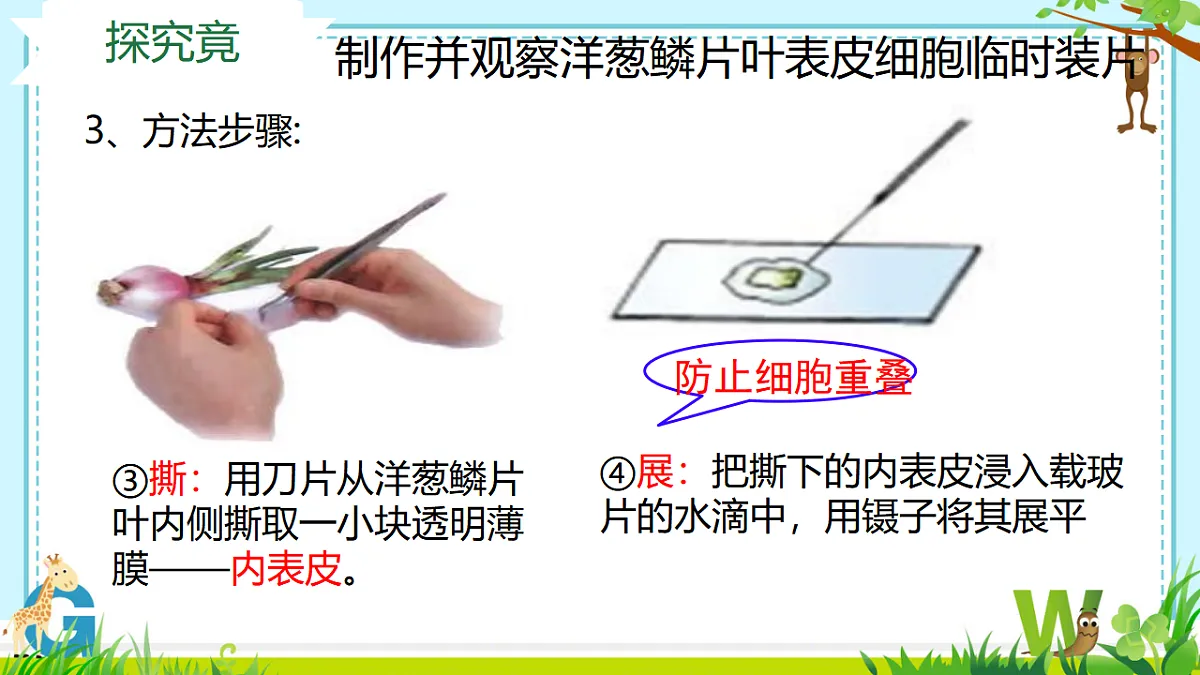 17557624第8页