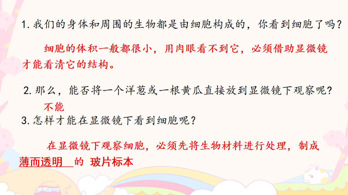 17557625第4页