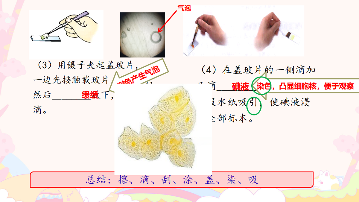 17557625第7页