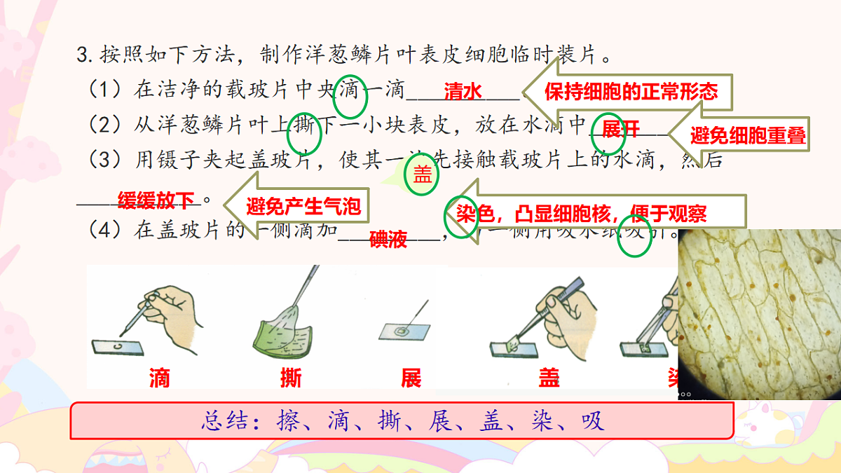 17557625第8页