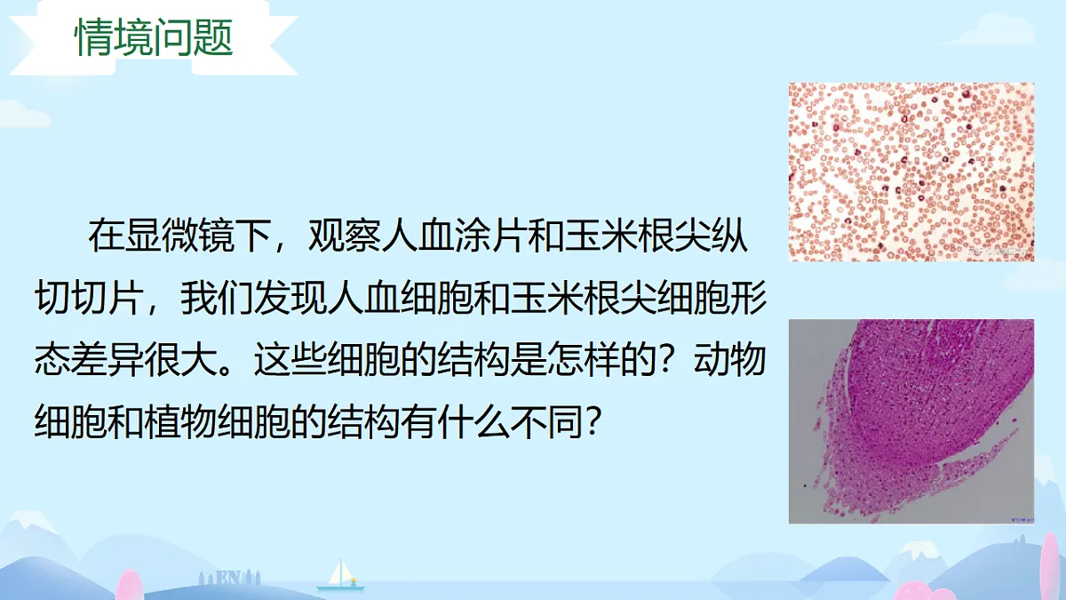 17557626第3页