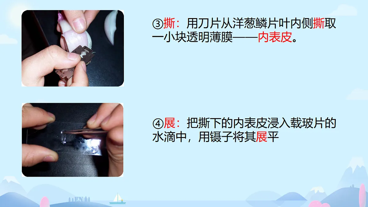 17557626第8页