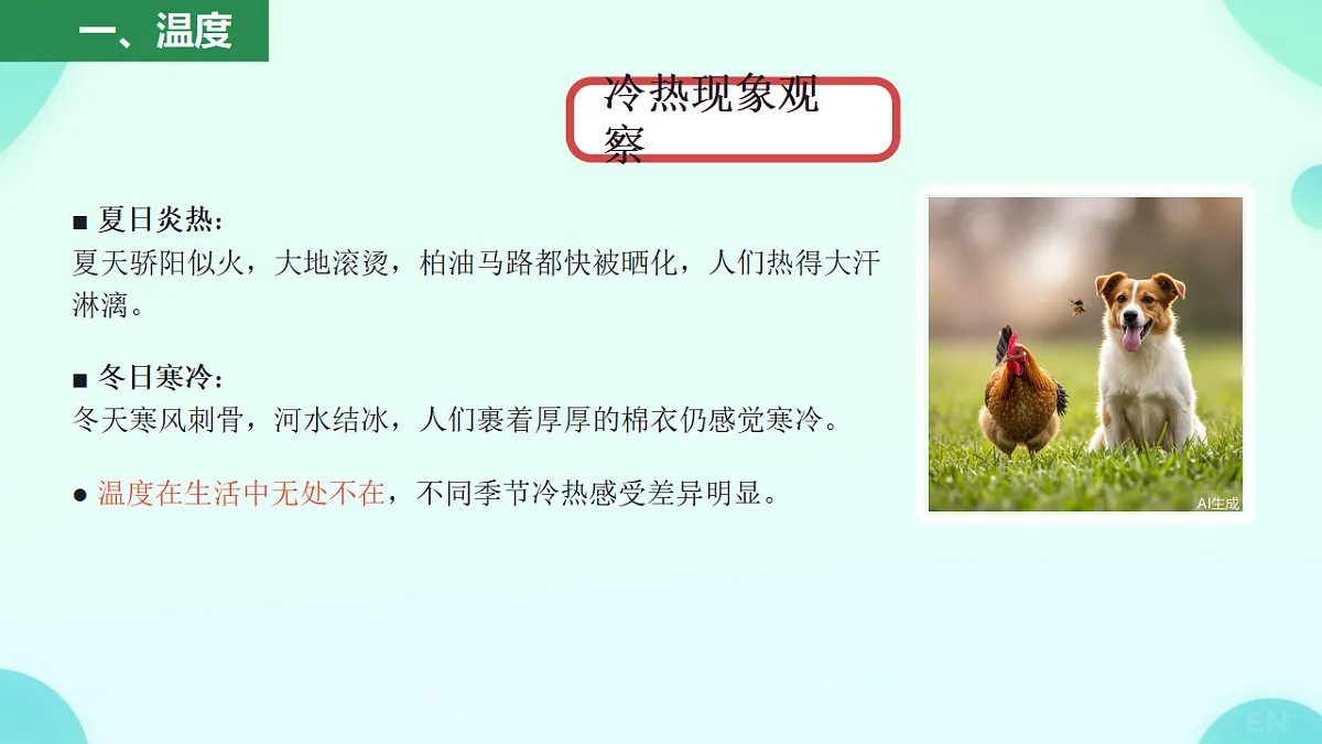 17557649第5页
