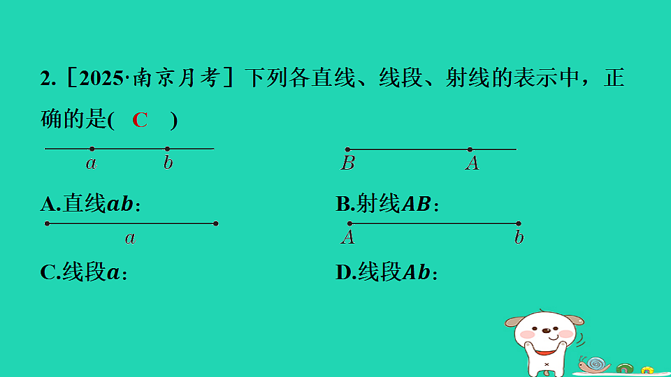 17558500第4页